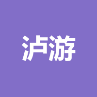 泸游传媒