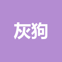 灰狗航空