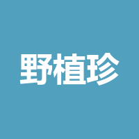 泸州野植珍食品有限公