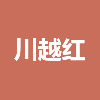 四川川越红人力资源有