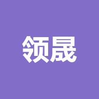 领晟汽车